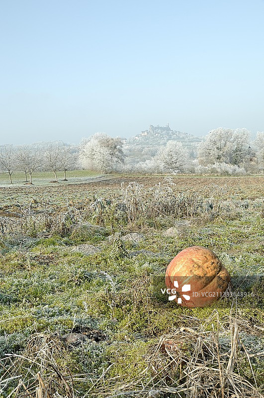 法国蒂雷讷村庄花园中冰冻的南瓜图片素材