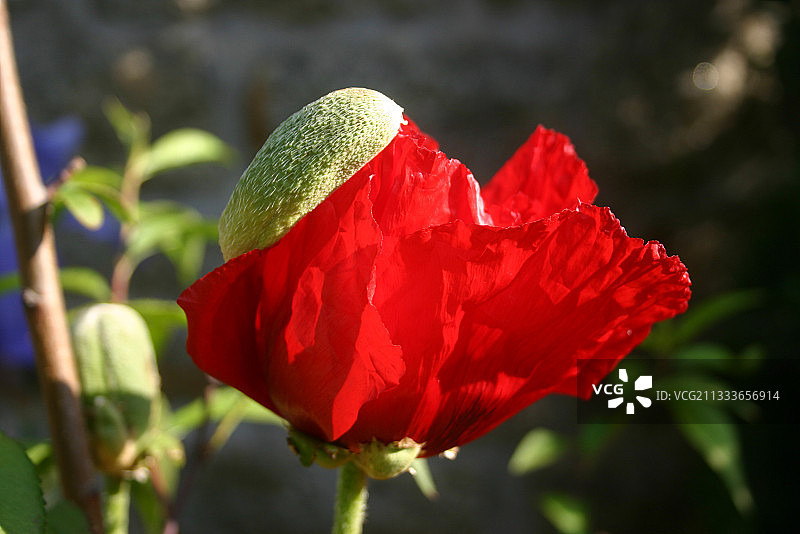 位置：济南图片素材