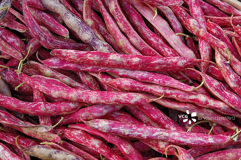 法国的腰豆豆荚特写图片素材