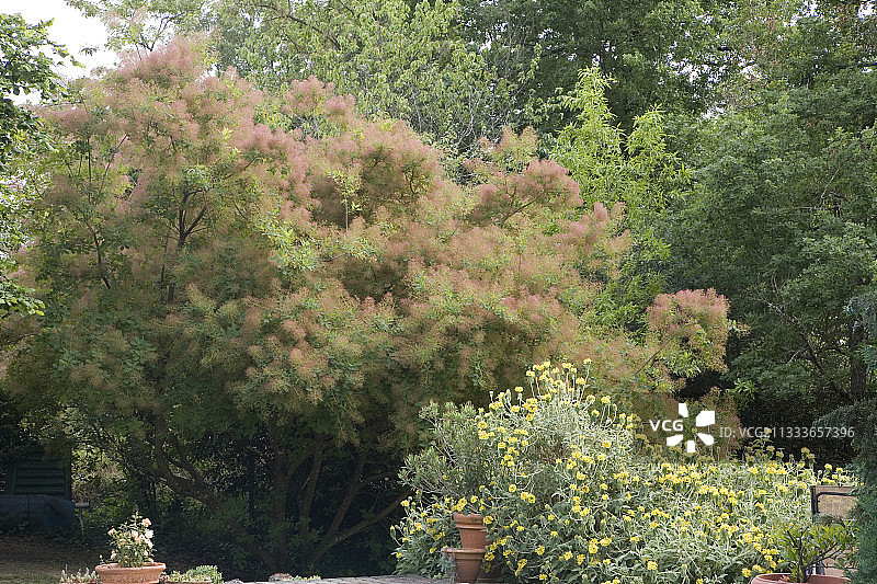 美国花园图片素材
