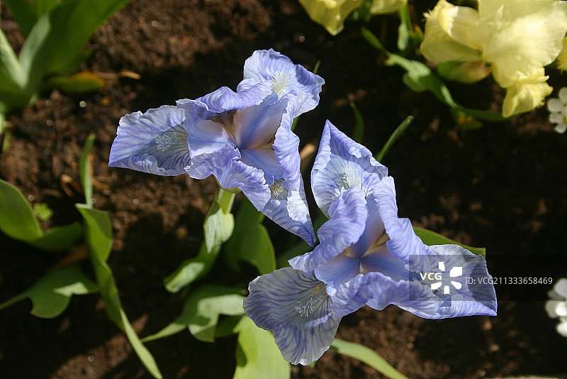 地点：迪南图片素材