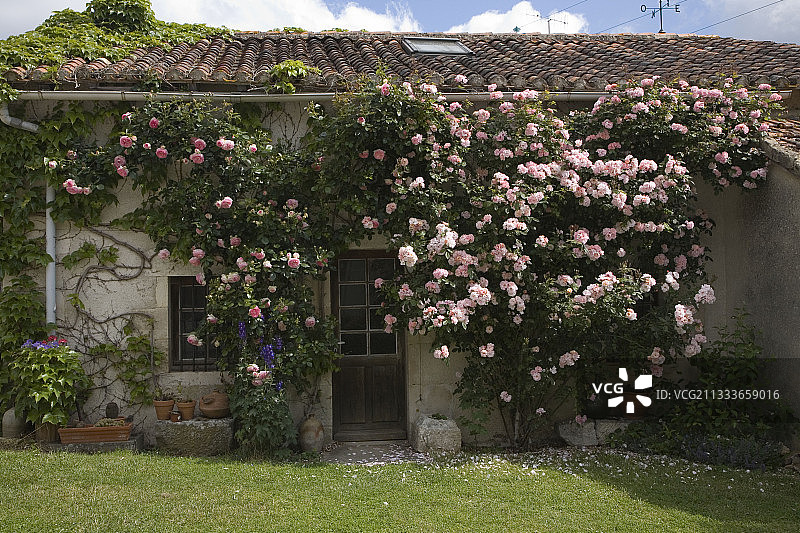 法国维埃纳的鲜花乡村小屋图片素材
