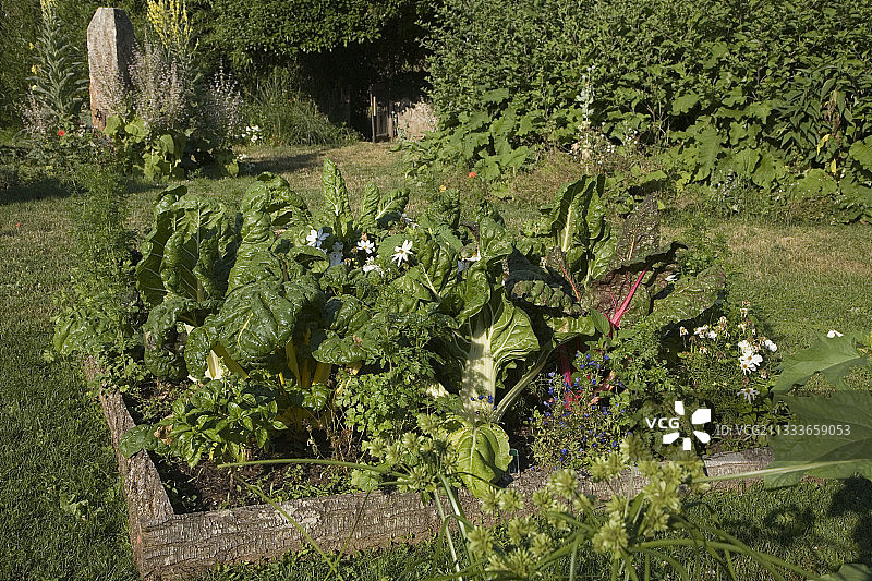 法国维埃纳拉韦尔修道院厨房花园图片素材