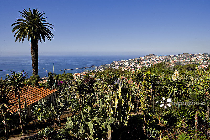 葡萄牙马德拉岛风光图片素材