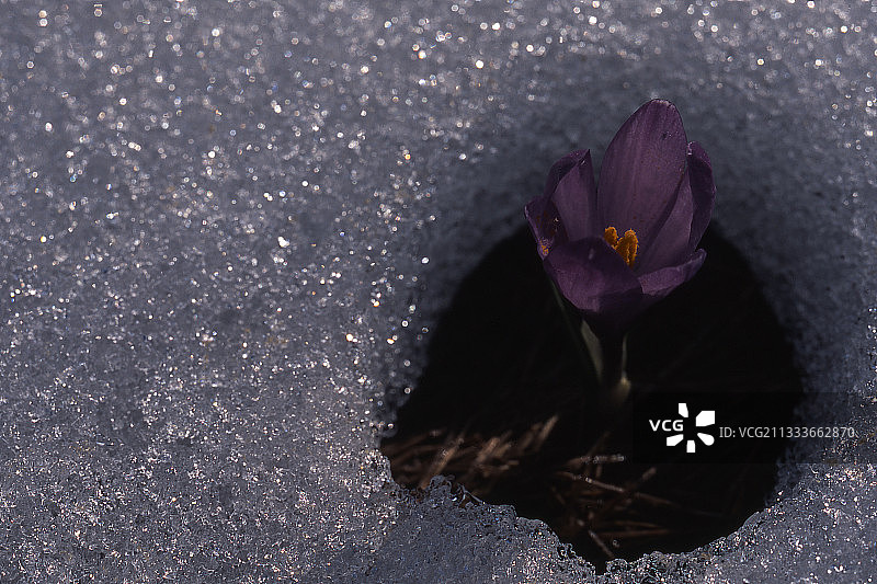 勃朗峰地块景点图片素材