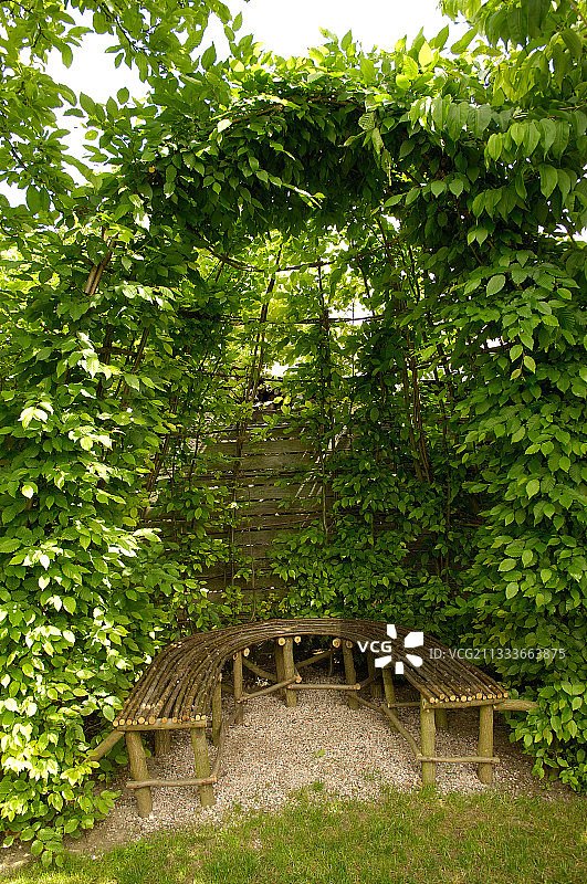 玛格丽特花园图片素材