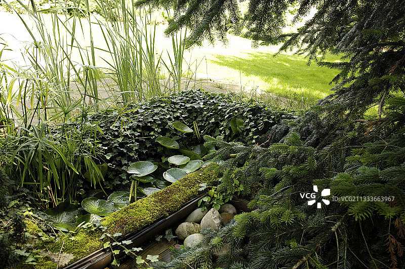 阶梯花园图片素材