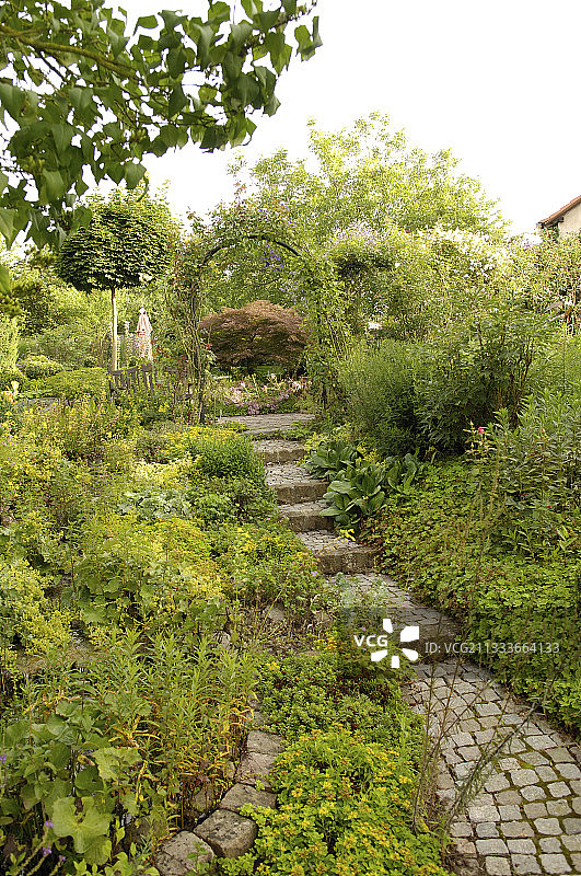 弗雷迪花园图片素材