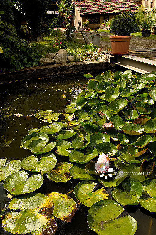 法国玛丽-伯特和让-皮埃尔花园中的池塘图片素材