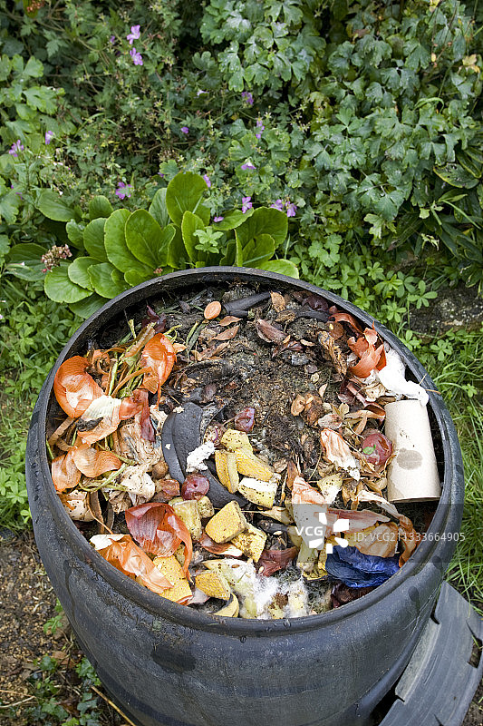 堆放在黑色塑料可回收堆肥箱中的各种厨房垃圾，包括蔬菜、纸板和果皮（英国）图片素材