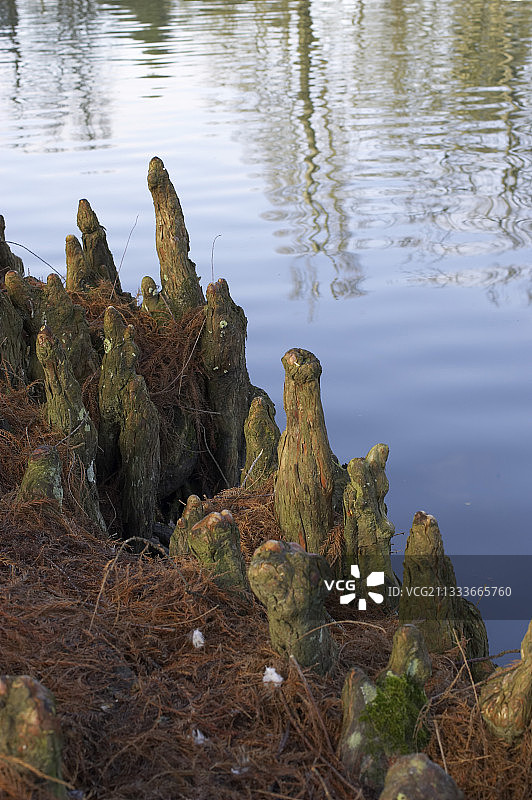维特雷花园公园（伊勒-维莱讷省）图片素材