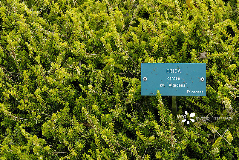 Ban-de-Sapt花园图片素材