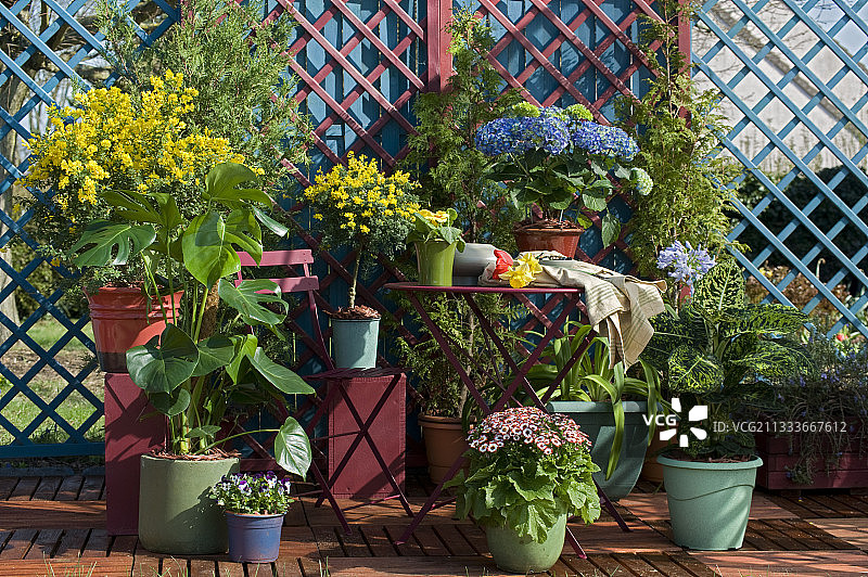 春季鲜花盛开的花园露台图片素材