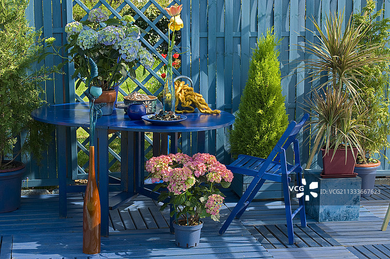 春季鲜花盛开的花园露台图片素材