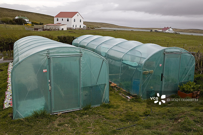 马尔维纳斯群岛东福克兰达尔文的家用温室图片素材