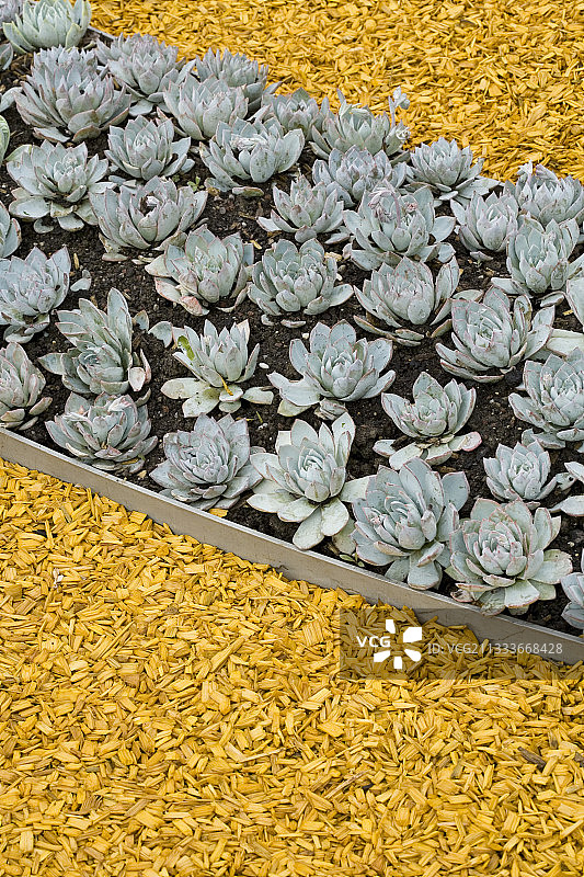 瓦朗斯城镇网站图片素材