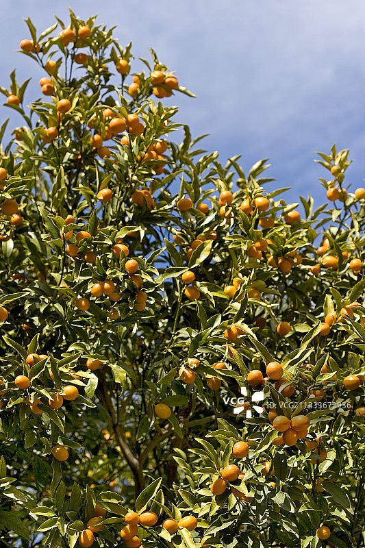白底盒子里的笔记本页面图片素材