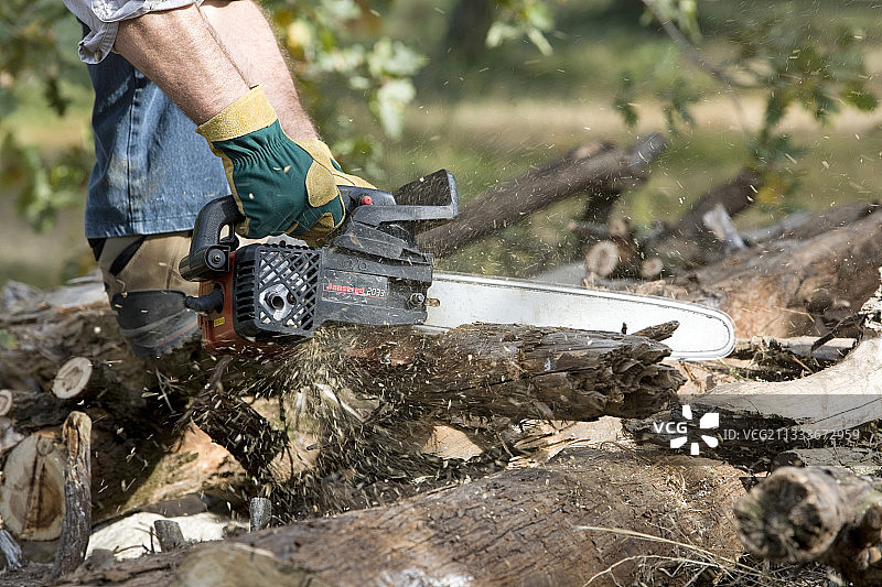 秋天男人用链锯砍木头图片素材