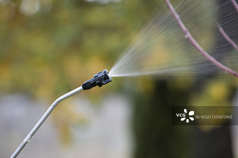 秋季花园中的粉碎处理图片素材