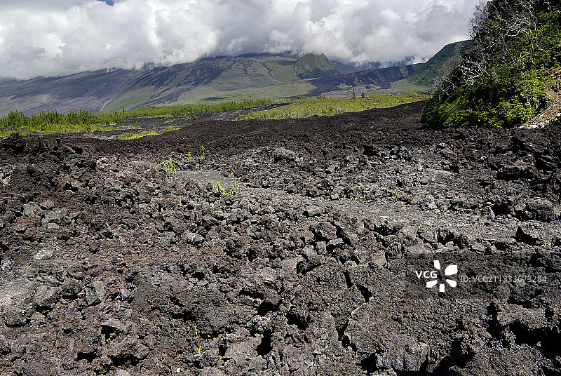 留尼汪的冷却熔岩地貌图片素材