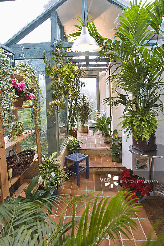 阳台上的绿色盆栽图片素材