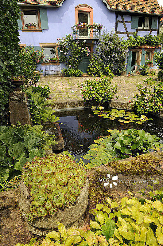 蓝色农场花园里的水池，于滕霍芬，下莱茵省图片素材
