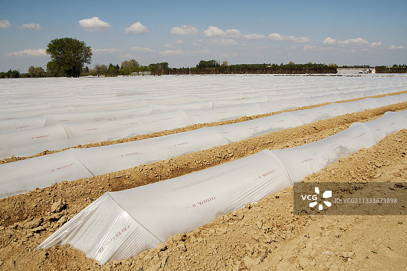 沃克吕兹省法国塑料覆盖下的农作物图片素材