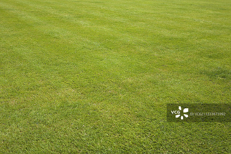 法国勃艮第绿色草皮图片素材