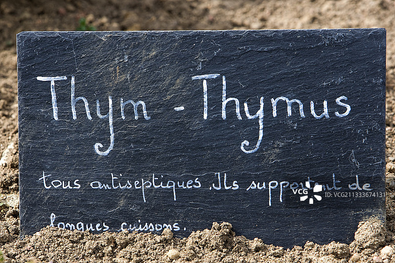 传统菜园中的识别板，法国图片素材