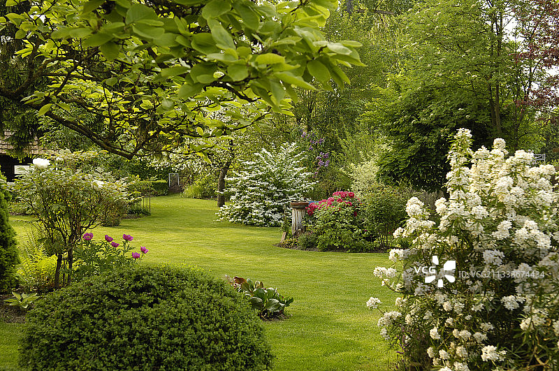 春天阿尔萨斯棉花花园的景色图片素材