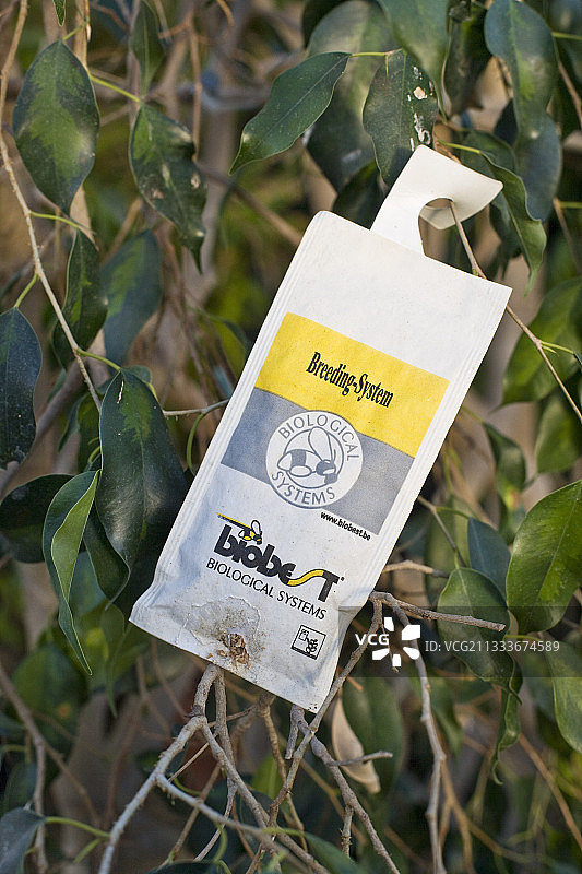 绿色植物虫害的生物防治（法国）图片素材