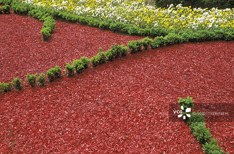 巴黎的现代树皮红色花坛图片素材