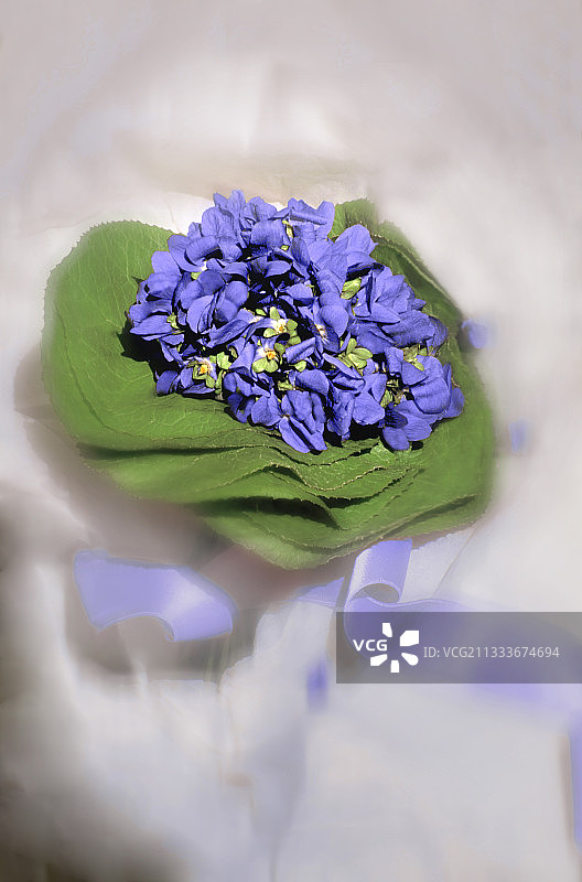 三月紫罗兰花束图片素材