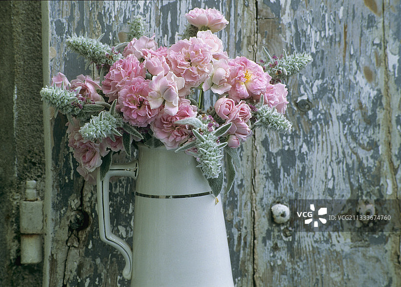 玫瑰和熊耳草花束图片素材