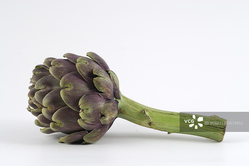 工作室里的洋蓟图片素材