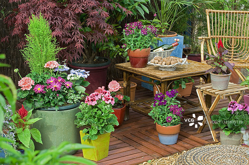 鲜花盛开的花园露台图片素材
