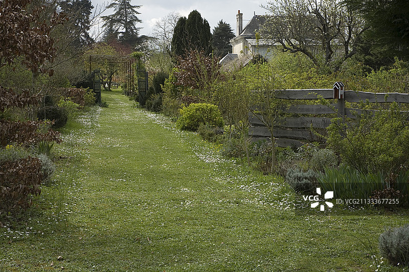 埃尔西花园鲜花草坪小径图片素材