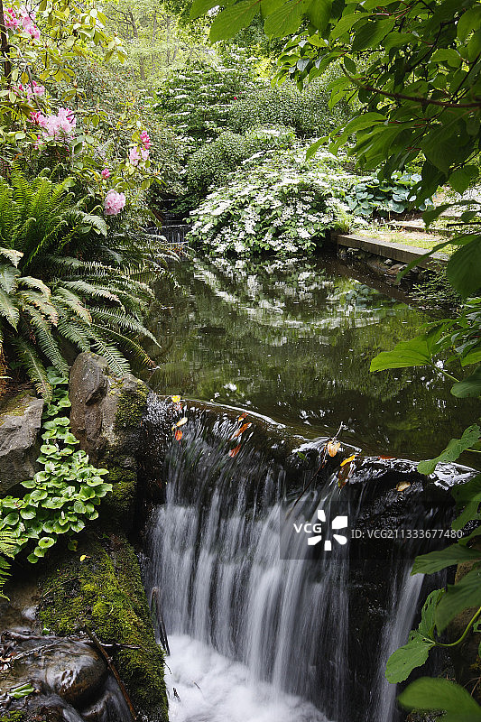 温哥华斯坦利公园的池塘和瀑布图片素材