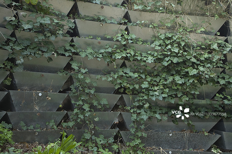 埃尔西花园中的垂直花园图片素材