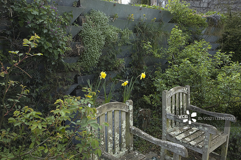 埃尔西花园中的垂直花园图片素材