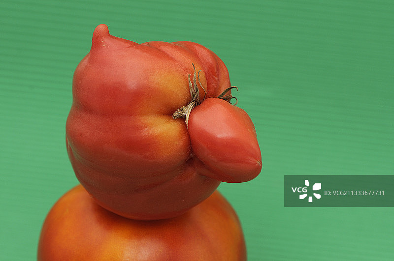 马尔芒德番茄形状小人图片素材