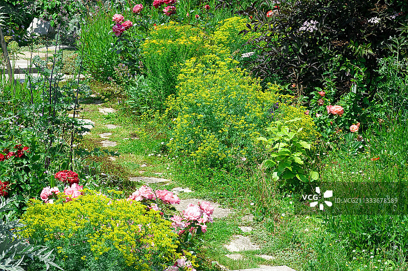 野外花园中的日式小路图片素材