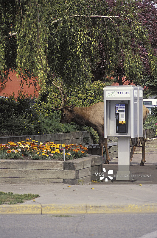 白底盒子里的笔记本页面图片素材