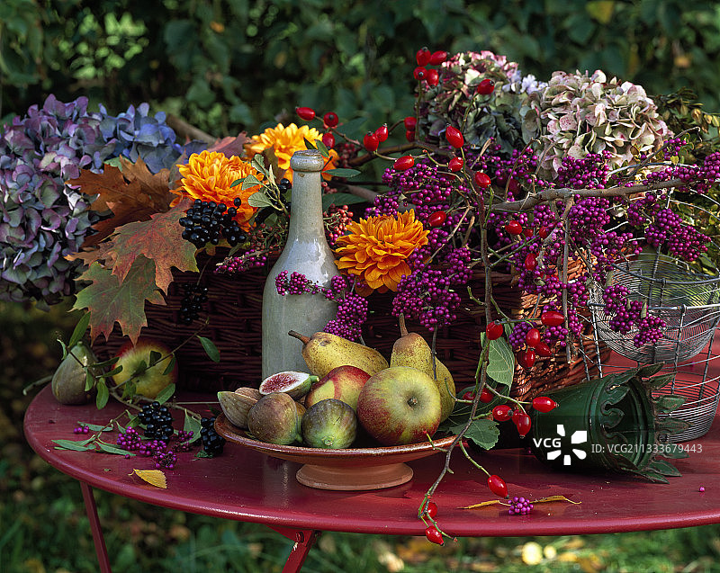 花园里的秋季蔬菜组合图片素材