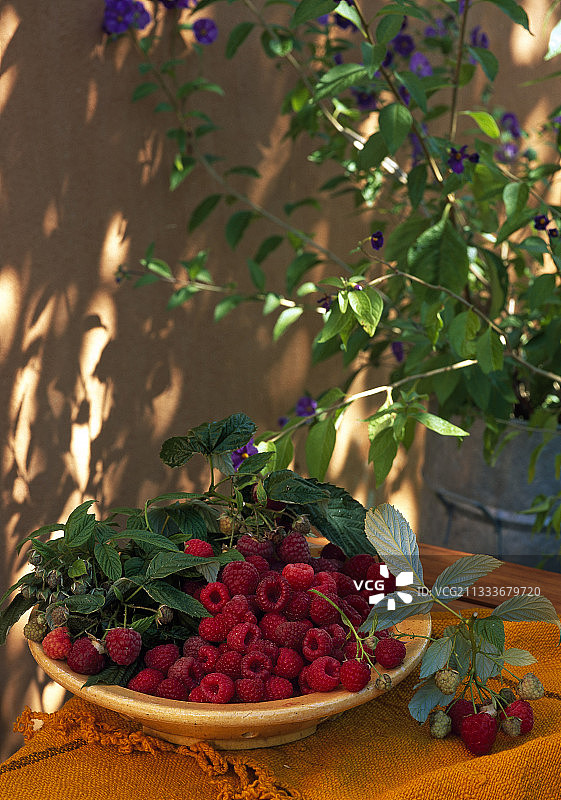 盘子里的覆盆子图片素材