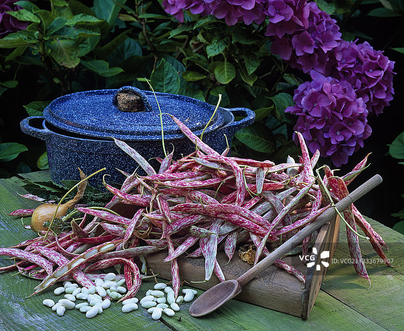 餐桌上的‘布拉森’奶油豆图片素材