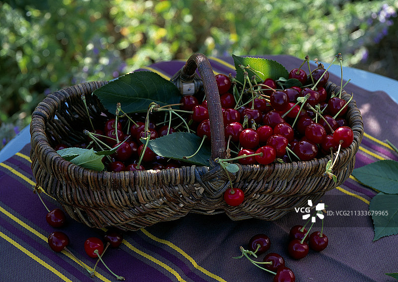 樱桃篮子，Nabella品种图片素材