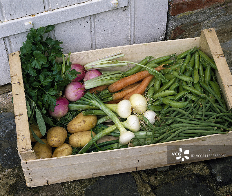 托盘里的蔬菜丰收图片素材