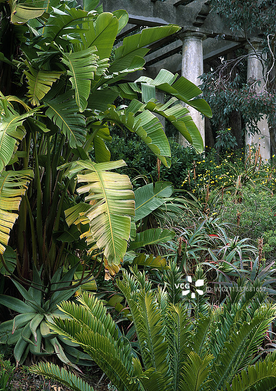 景观设计师：吉尔·克莱门特图片素材