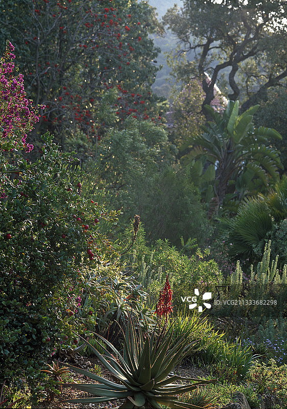 景观设计师：吉尔·克莱门特图片素材